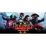 Divinity: Original Sin 2 - Divine Edition - STEAM GIFT