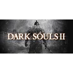 Dark Souls II (Steam key) RU CIS