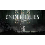 ⭐️ ENDER LILIES Quietus of the Knights [Steam/Global]