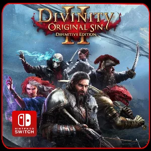 Divinity: Original Sin 2 Definitive Edition 🎮 Switch