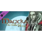 🔑 Magicka: The Other Side of the Coin DLC STEAM KEY 🎁