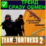 ⭐️Открытая площадка + CS GO 2 РОССИЯ +ПОЧТА SDA ТРЕЙД🟢