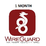 WireGuard VPN Германия 1 месяц