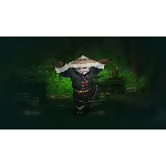 Pandaren Monk CDKEY - EU/RU