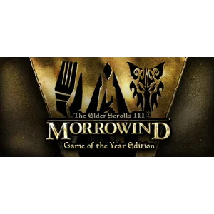 The Elder Scrolls 3 III Morrowind GOTY GOG АККАУНТ + 🎁