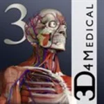 Essential Anatomy 3 ✅ Microsoft Store ПК PC Активация