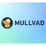 🛡️MULLVAD МУЛЛВАД🕷 Аккаунт 1 месяц 🕷