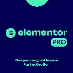 ✅ Лицензия Elementor Pro на 1 год Оригинал