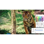 ✅Transparent Taskbar Microsoft Store Windows ПК