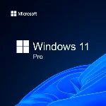 Windows 11 Professional 32/64 bit Retail