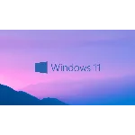 🔥Windows 11 Professional 🔥