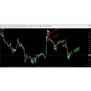 Forex ZUBR
