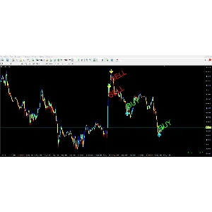 Forex ZUBR Modification