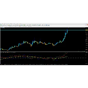 Traders Dynamic Index