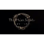 TES: ONLINE 💎 [ONLINE EPIC] ✅ Полный доступ ✅ + 🎁