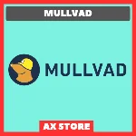 🛡️MULLVAD МУЛЛВАД🕷 ВАУЧЕР 1/6/12 месяцев🕷