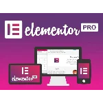 Лицензия Elementor Pro со всеми обновлениями на 1 год
