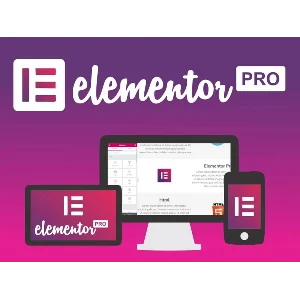 Лицензия Elementor Pro со всеми обновлениями на 1 год