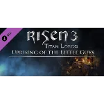 Risen 3: Uprising of the Little Guys DLC * STEAM RU ⚡