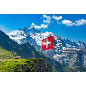 🥇Элитный прокси HTTP / SOCKS5 Швейцария - 30/90 дней🔐