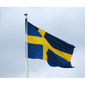 🥇Элитный прокси HTTP / SOCKS5 Швеция - 30/90 дней🔐