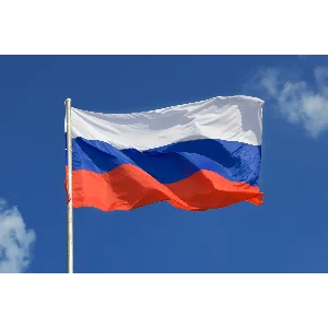 🥇Элитный прокси HTTP / SOCKS5 Россия - 30/90 дней🔐