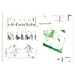 Дипломная работа