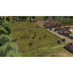 🏖️ Banished 🎈 Steam Ключ 🌸 Весь мир