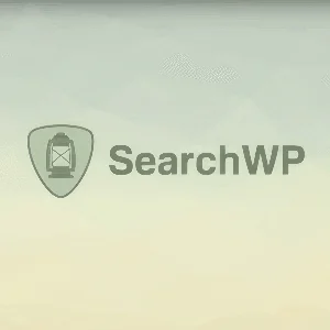 SearchWP [4.3.9] - Русификация плагина 💜🔥