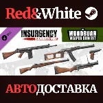 Insurgency: Sandstorm - Woodburn Weapon Skin Set DLC