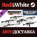 Insurgency: Sandstorm - Worn Veteran Weapon Skin Set