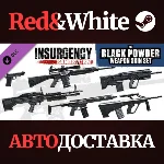 Insurgency: Sandstorm - Black Powder Weapon Skin Set
