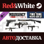 Insurgency: Sandstorm - Two-Tone Weapon Skin Set DLC
