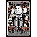 Xbox 360 | Sleeping dogs, DIRT 3  + 5 игр