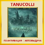 ☀️ Hogwarts Legacy Deluxe (PS4/PS5/RU) П3 Активация