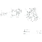 ГИДРАВЛИЧЕСКАЯ СХЕМА САМОХОДНОГО ВАГОНА 10ВС-15