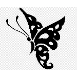 Трафареты бабочек для вырезания шаблоны