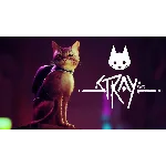 ⭐️Stray⭐️Xbox one & series X | S + PC