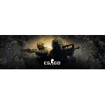 Prime Status CS:GO 2 🔵Steam-Все регионы 🔵 0% Комиссия
