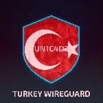 🌍 ТУРЦИЯ WIREGUARD VPN 🧭 БЕЗЛИМИТ 🌍 ЛИЧНЫЙ СЕРВЕР