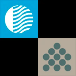 ✅ Destiny 2 ✅ Эмблемы Effortless Flow + Suave ✅