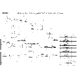 Технологическая схема производства кирпича в компасе