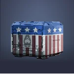 Подарок ко Дню независимости США (23)