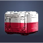 Подарок ко Дню независимости Польши (23)