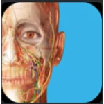 Human Anatomy Atlas 2025 Complete 3D⭐Microsoft Store