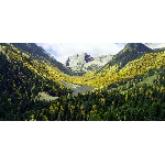 REX ACCU SEASON MSFS2020 Аккаунт