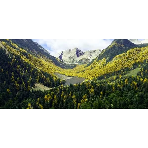 REX ACCU SEASON MSFS2020 Аккаунт