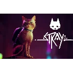 STRAY + МЕГАБОНУС ИГРЫ