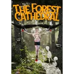 The Forest Cathedral КЛЮЧ🔑 STEAM ВСЕ СТРАНЫ