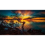 Красивые HD обои ПРИРОДА - 46 штук